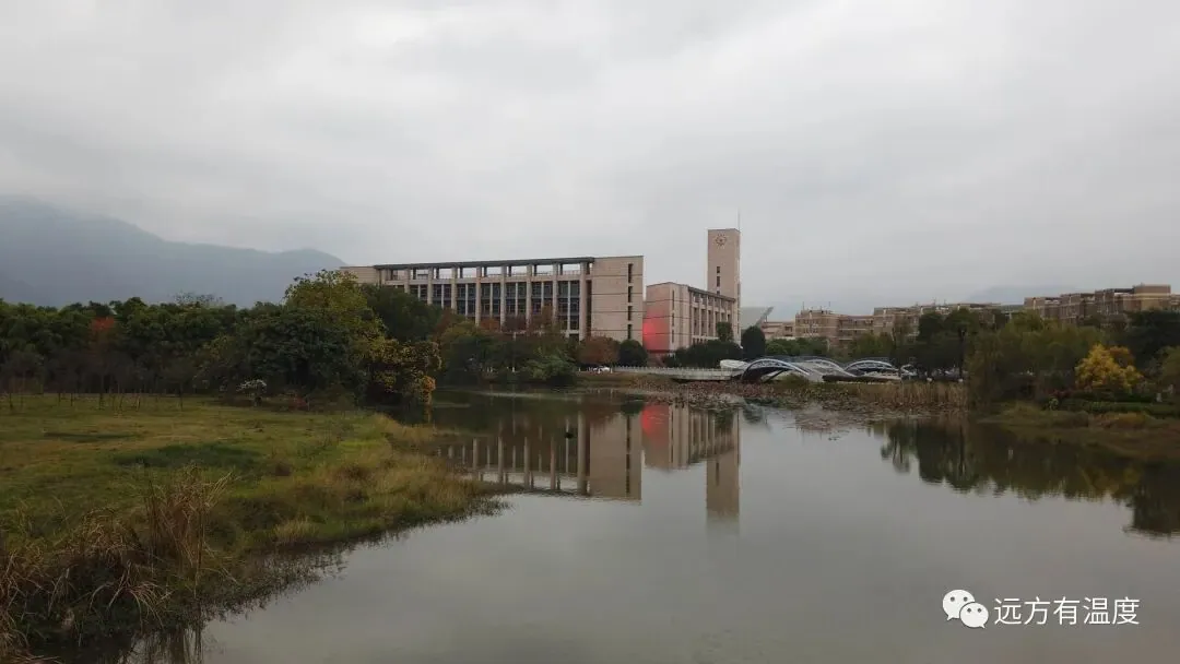 我的五年：一个平凡人的大学生活