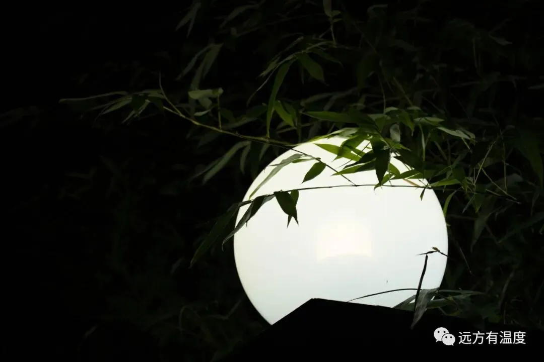 路边的灯，照亮远方的路：