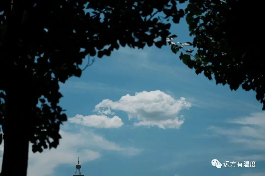 如果云层是天空的一封信，它会写一些什么呢？