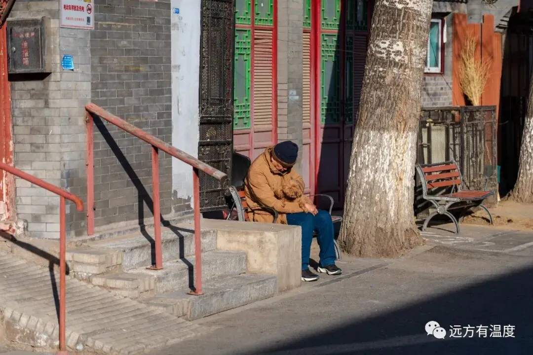 一人一狗，一阳光，一摸一享，一下午