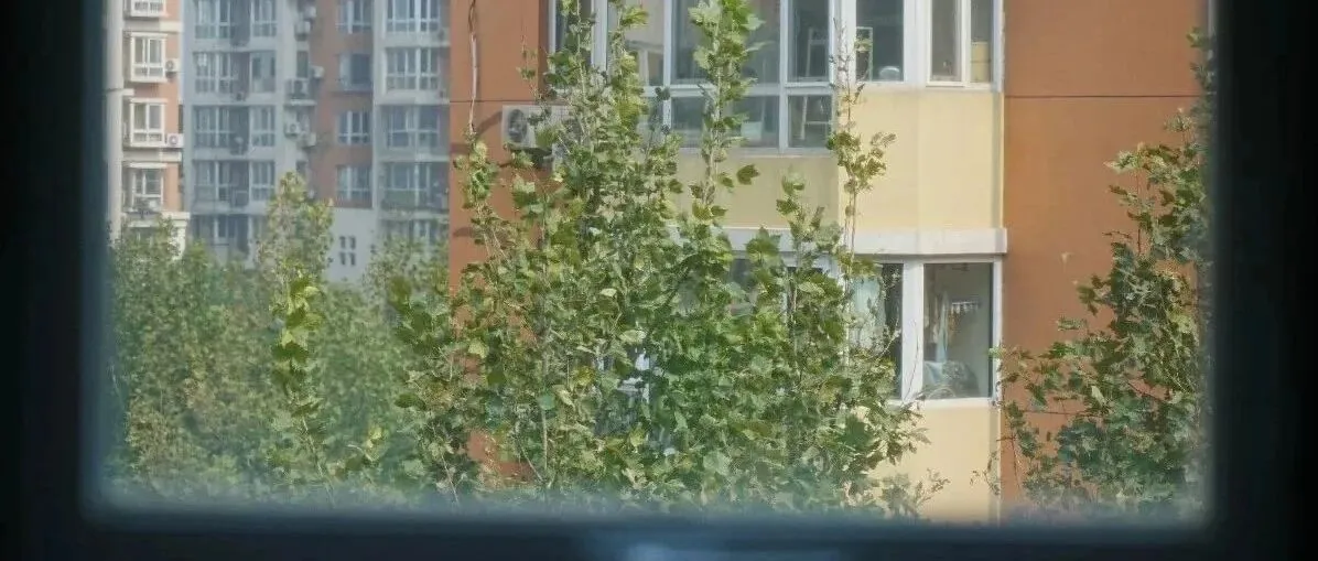 扫街周记｜雾散去的时候