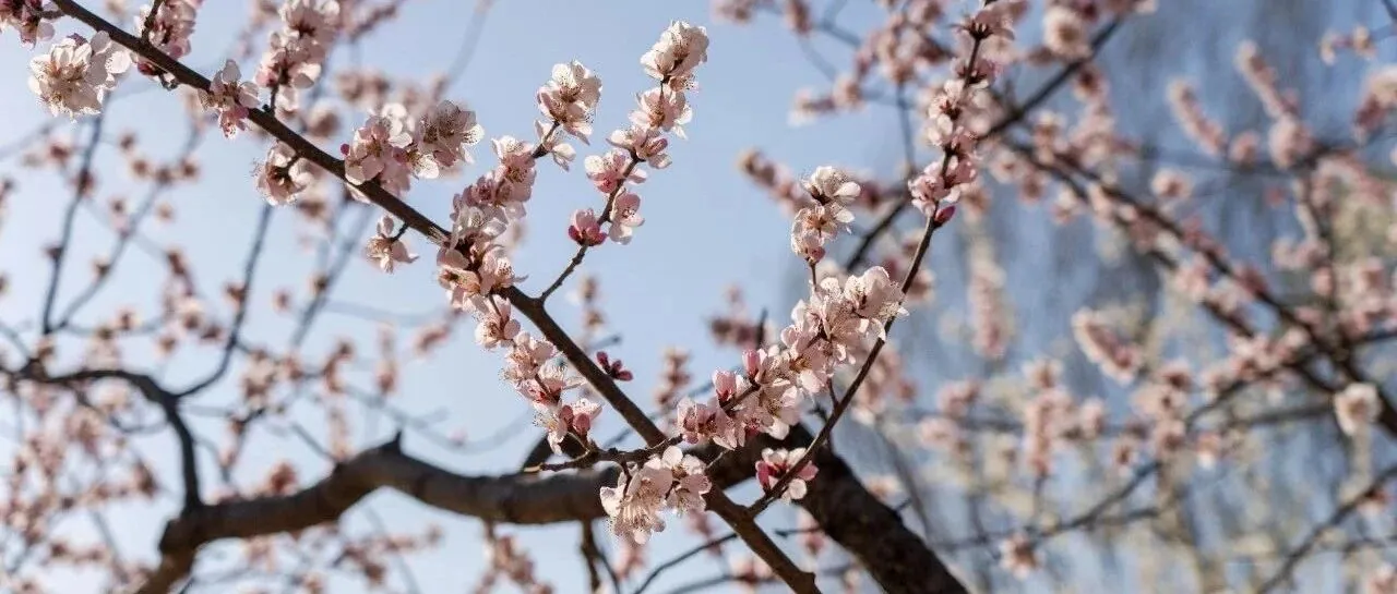 扫街周记｜春暖花开